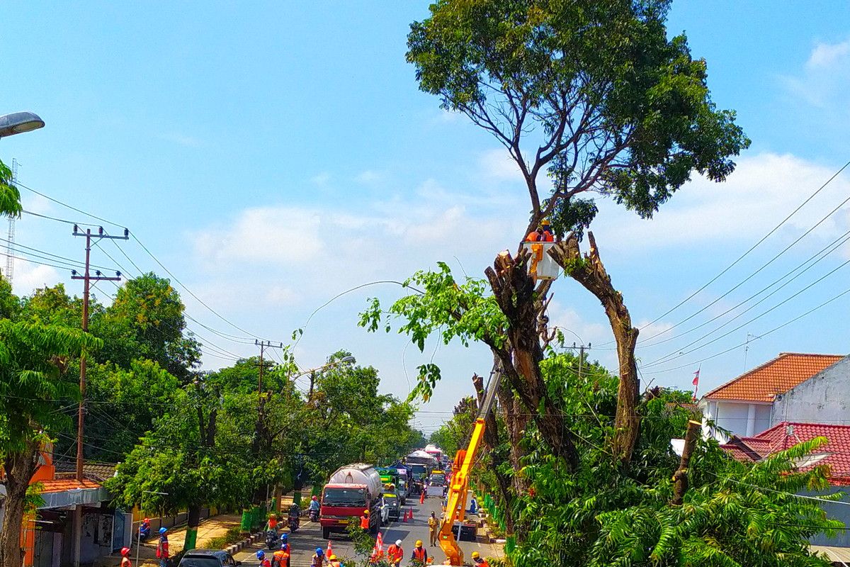 Hadapi cuaca ekstrem, PLN imbau pelanggan jaga keselamatan