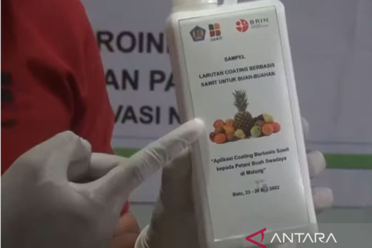 BRIN: Teknologi "coating" perpanjang umur simpan produk hortikultura