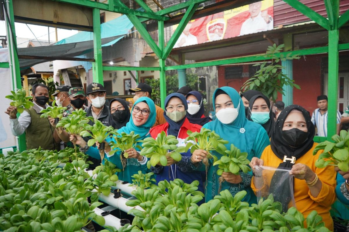 Bercocok tanam ala Kampung  Atas Air Margasari Balikpapan