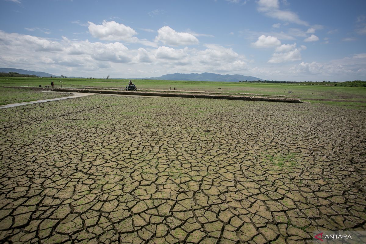 Need to optimize water resources to mitigate drought: BMKG