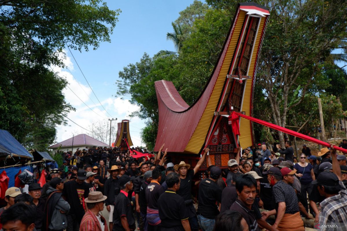 Prosesi Ma Pasonglo Di Tana Toraja ANTARA News