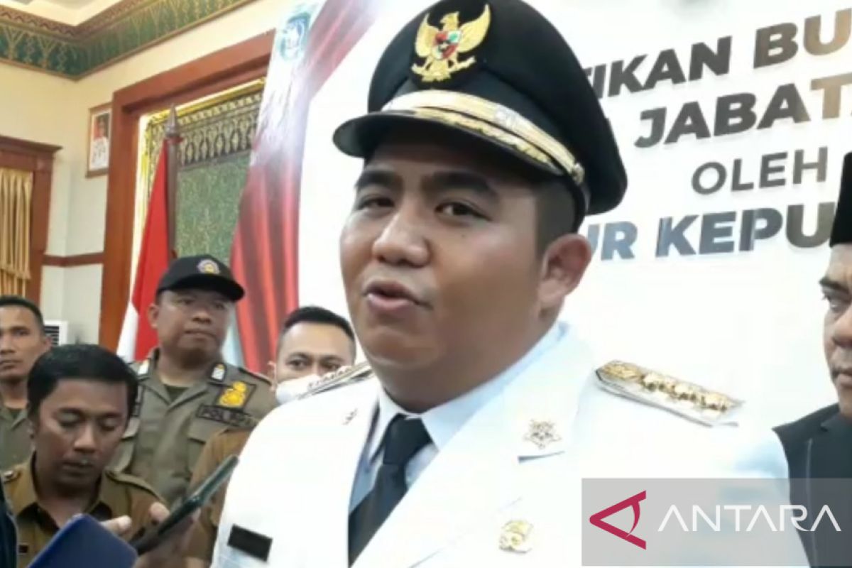 Roby minta partai pengusung segera usulkan calon wakil bupati Bintan