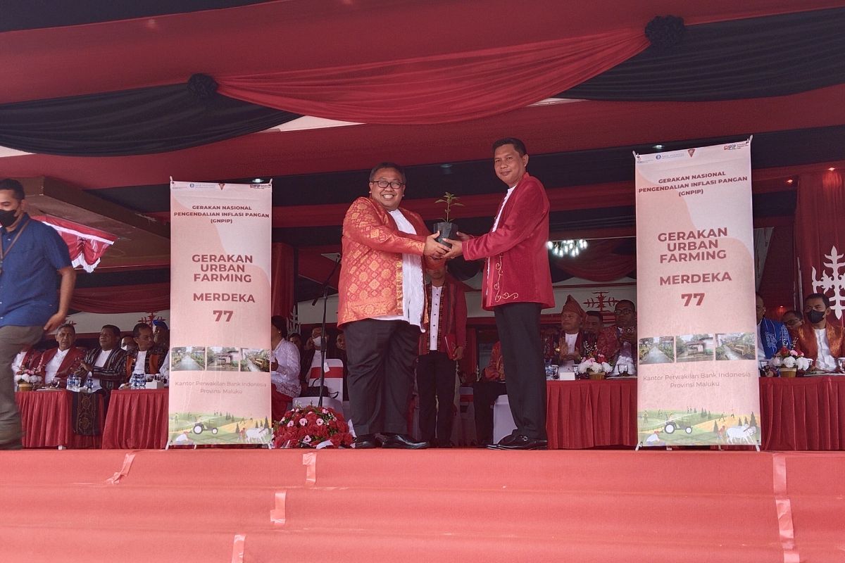 Warga Ambon diajak manfaatkan inovasi kalesang kintal kosong, ketahanan pangan dari rumah