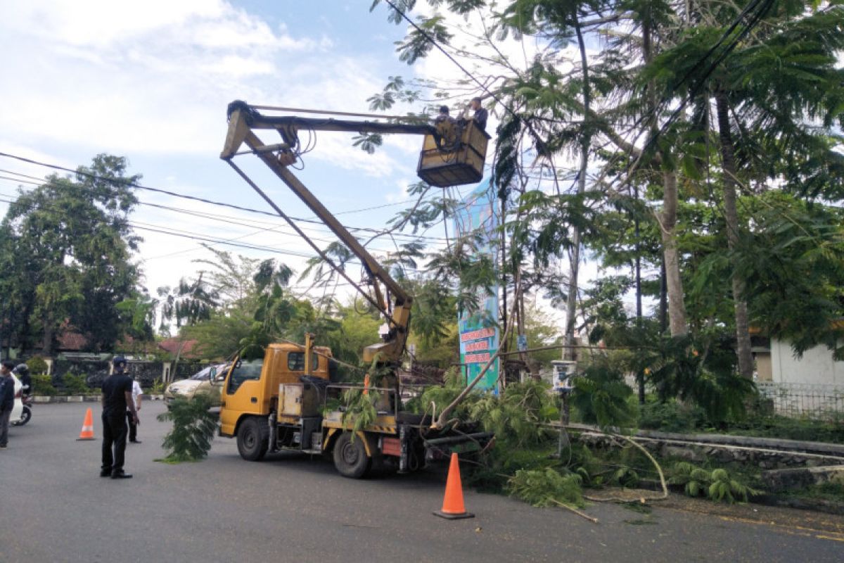 Pemkab Lombok Tengah melakukan pemotongan ranting pohon