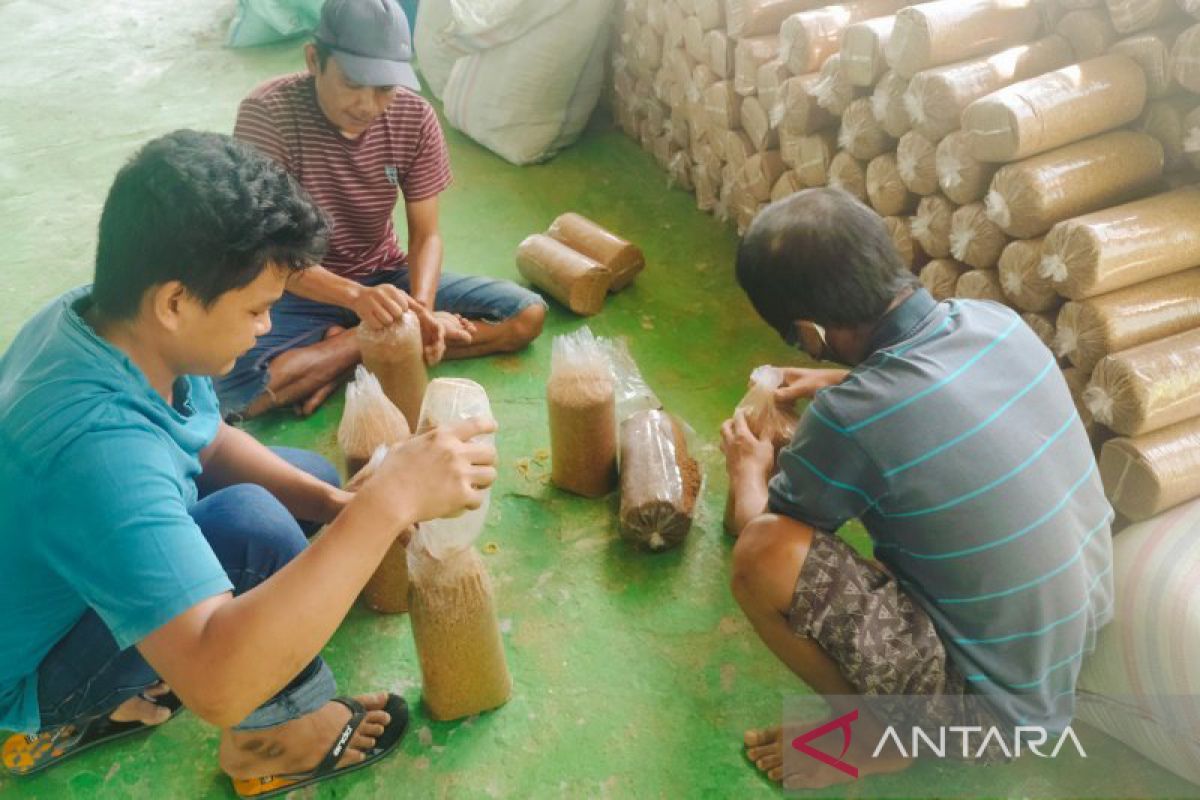 Warga binaan Lapas Curup ikuti berbagai pelatihan keterampilan