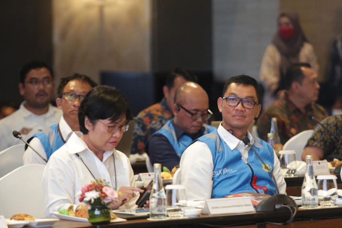 Siap sukseskan KTT G20, ini strategi PLN untuk tingkatkan keandalan listrik di Bali