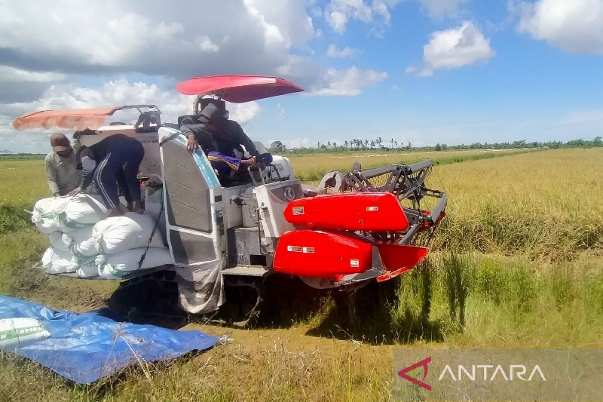 Bupati Seruyan ajak masyarakat kembangkan budi daya tanaman pangan