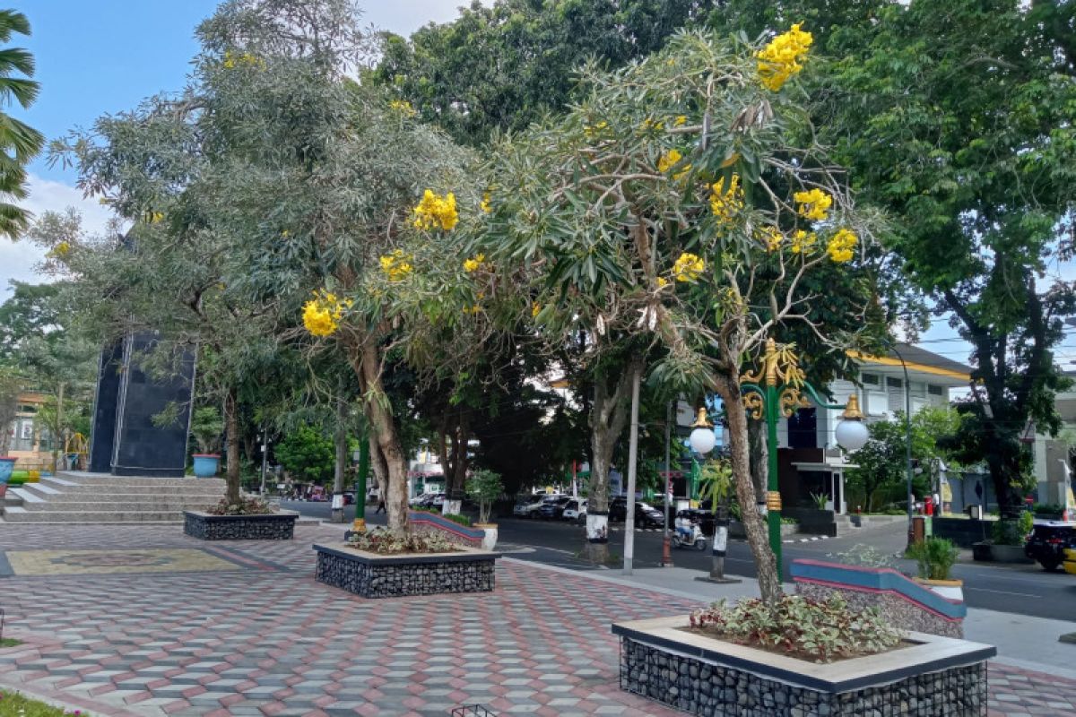 Cakupan ruang terbuka hijau privat di Mataram melampaui target