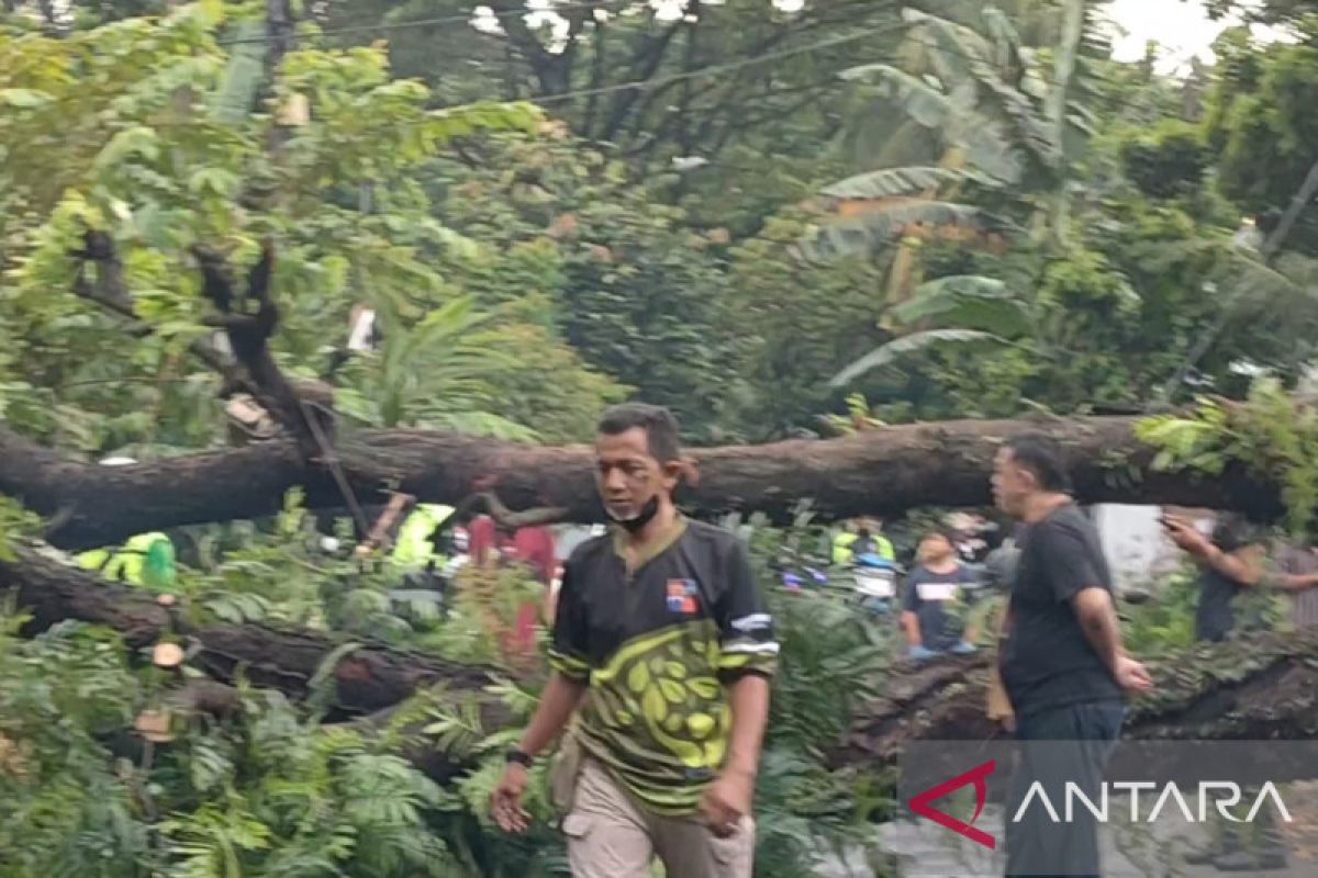 BPBD Kota Bogor imbau warga waspada bencana angin kencang dan hujan deras