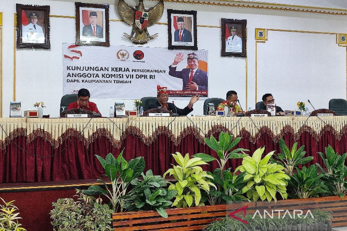 Pemkab Bartim minta anggota DPR RI perjuangkan listrik desa