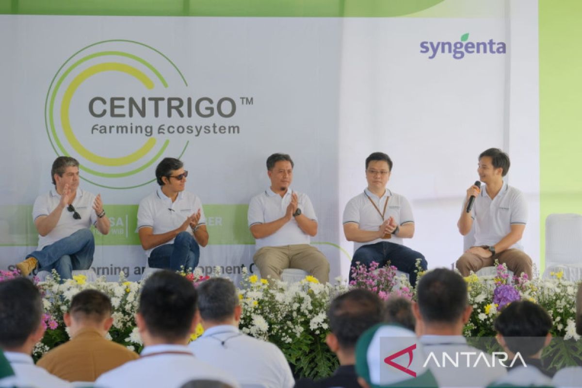 Syngenta luncurkan 'centrigo' untuk layani petani Indonesia