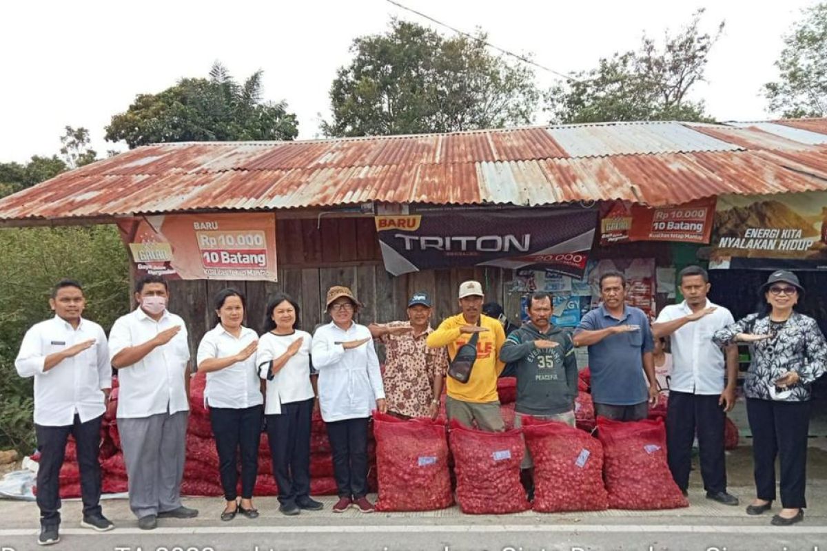 Pemkab Samosir salurkan bantuan bibit  bawang kepada petani