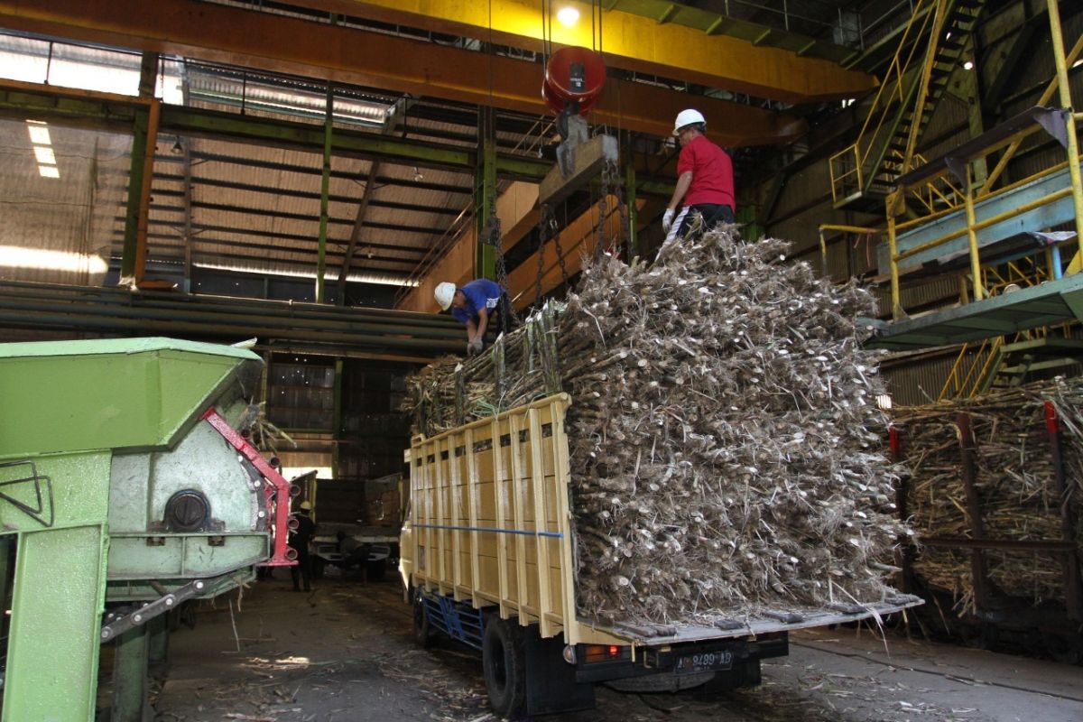 PTPN X giling 4 juta ton tebu di sembilan pabrik gula