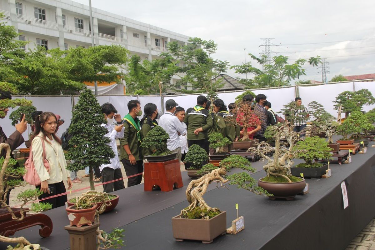 Meriahkan dies natalis ke-8, Itera gelar pameran dan workshop tanaman bonsai