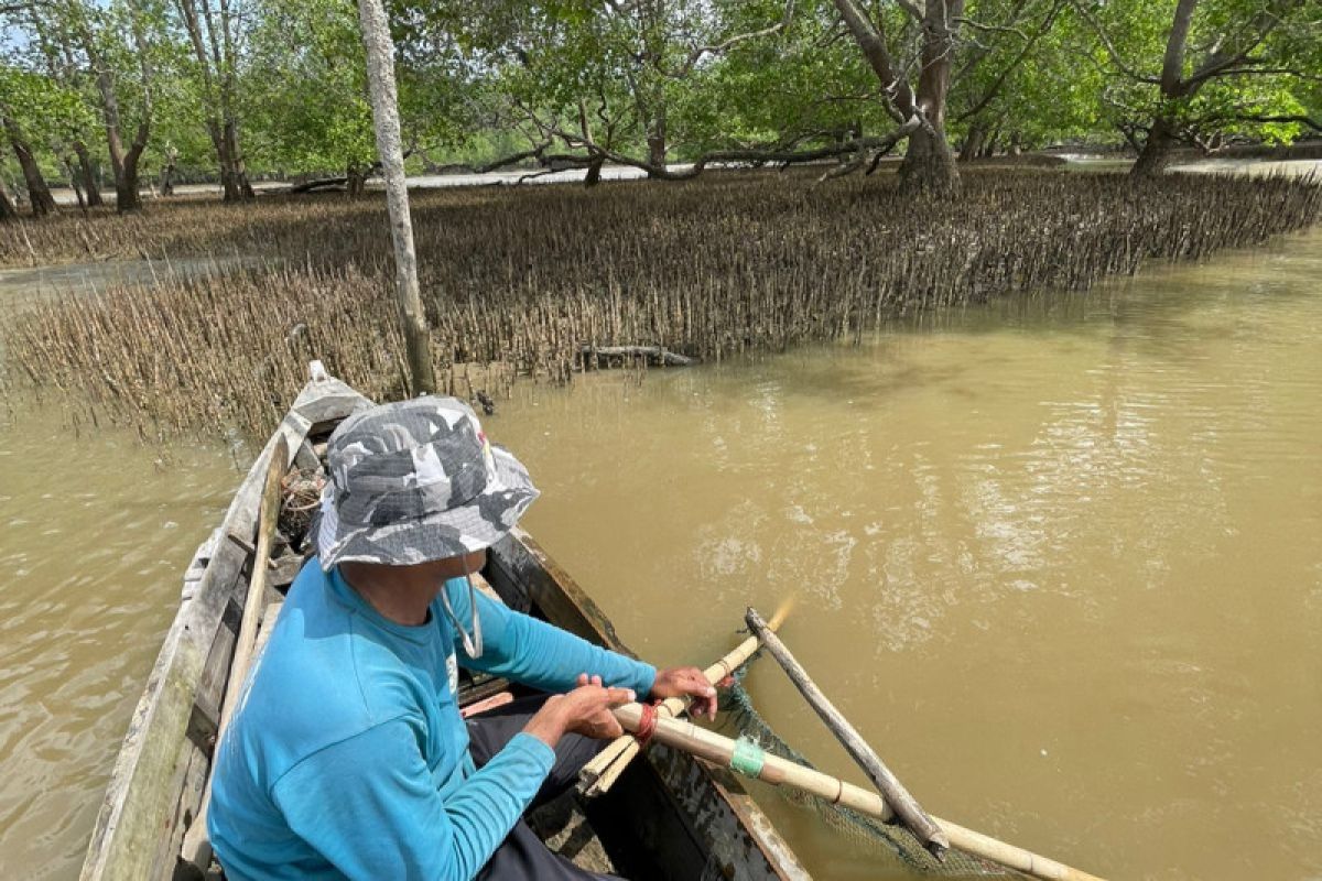 Perdes itu melindungi hutan mangrove  dan usaha warga