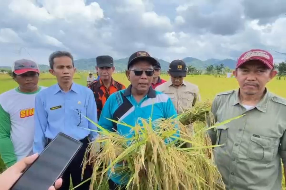 Pemda Kayong Utara buat regulasi  cegah alih fungsi lahan