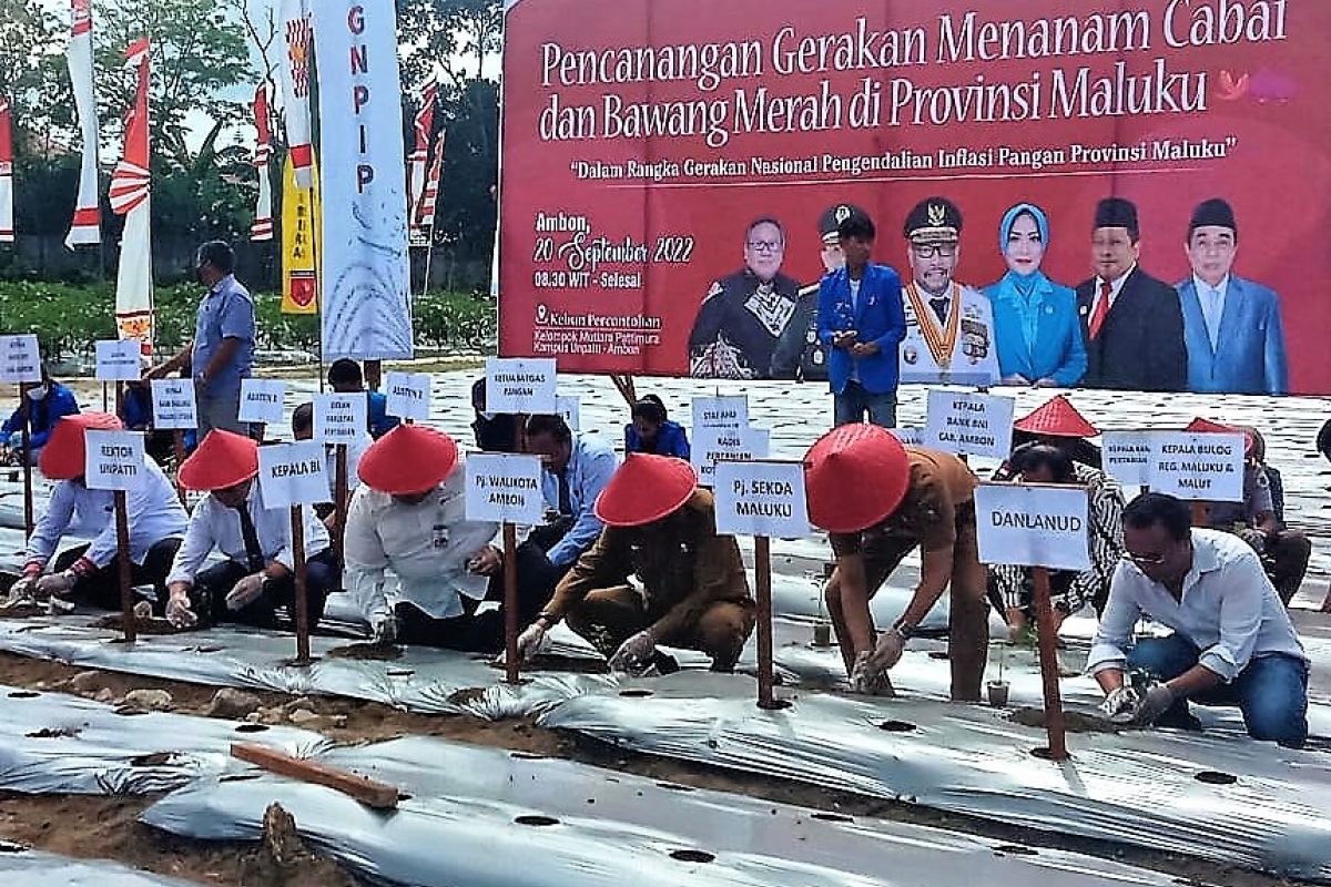 Maluku terus dorong operasi pasar untuk tekan inflasi