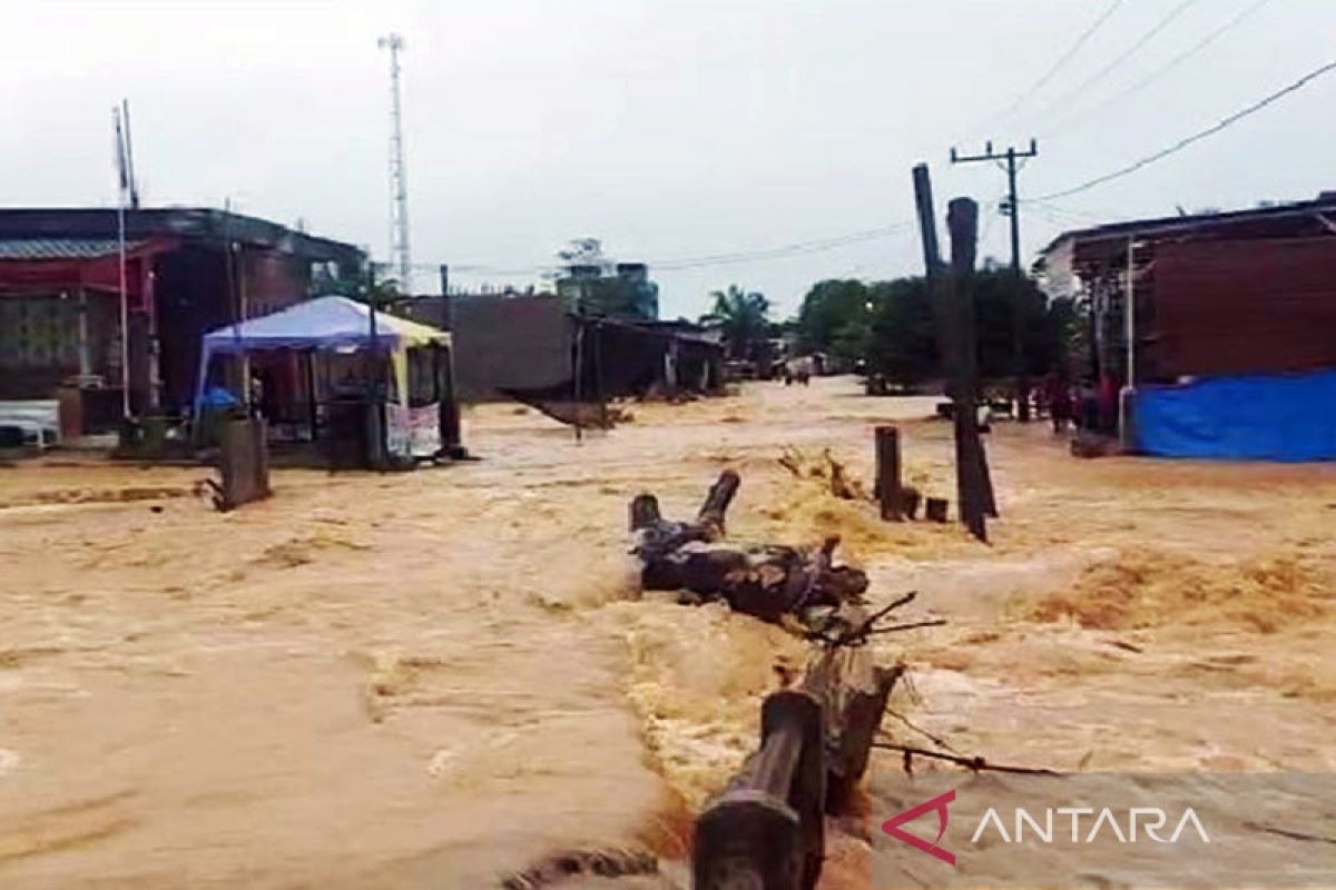 Ratusan rumah warga tergenang akibat banjir di Aceh Timur