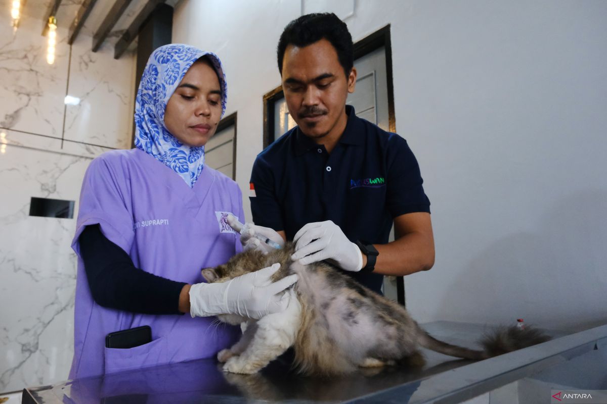 PDHI Kalbar mencatat 1.500 kasus gigitan anjing sejak Januari