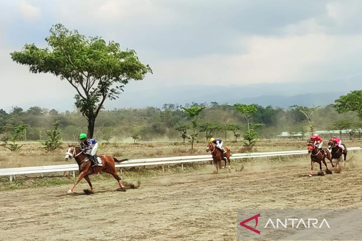 Dibuka Menpora, 12 provinsi ikuti kejurnas pacu kuda Piala Presiden di Pasuruan