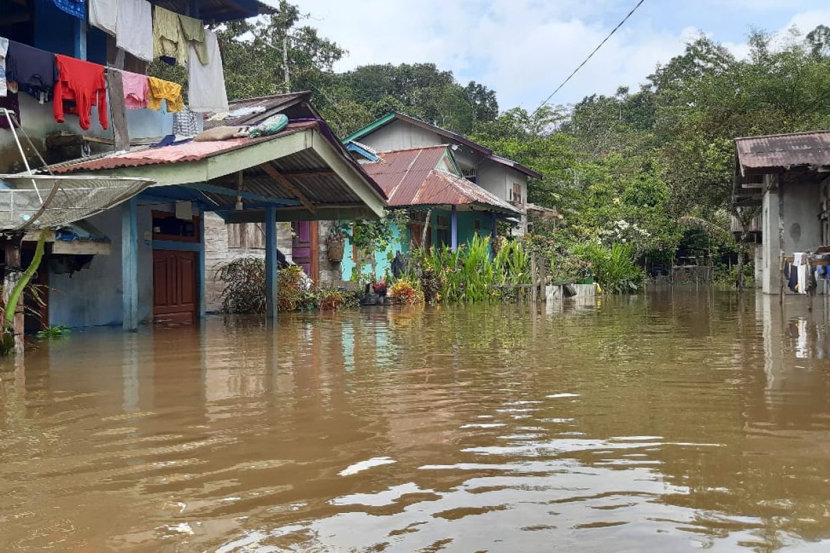 Banjir rendam lima desa di Kabupaten Sekadau