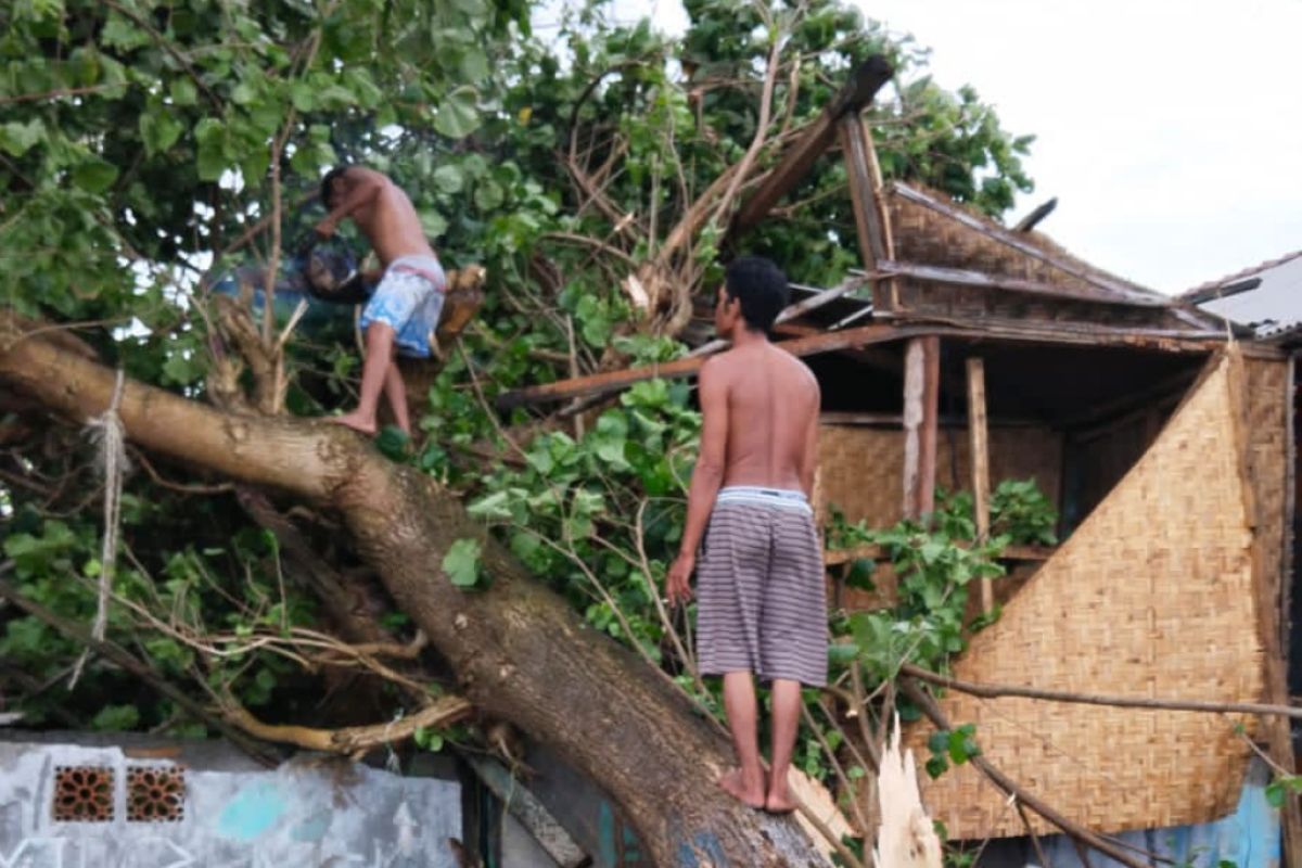Puting beliung sapu puluhan rumah warga di Lombok Timur