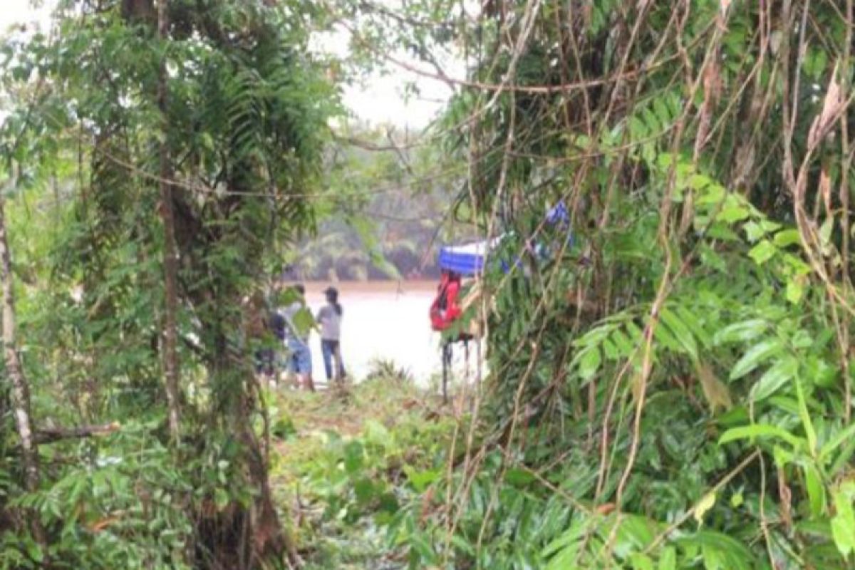 Seorang PMI hilang diterkam buaya di Sungai "Merampok" Sarawak, Malaysia