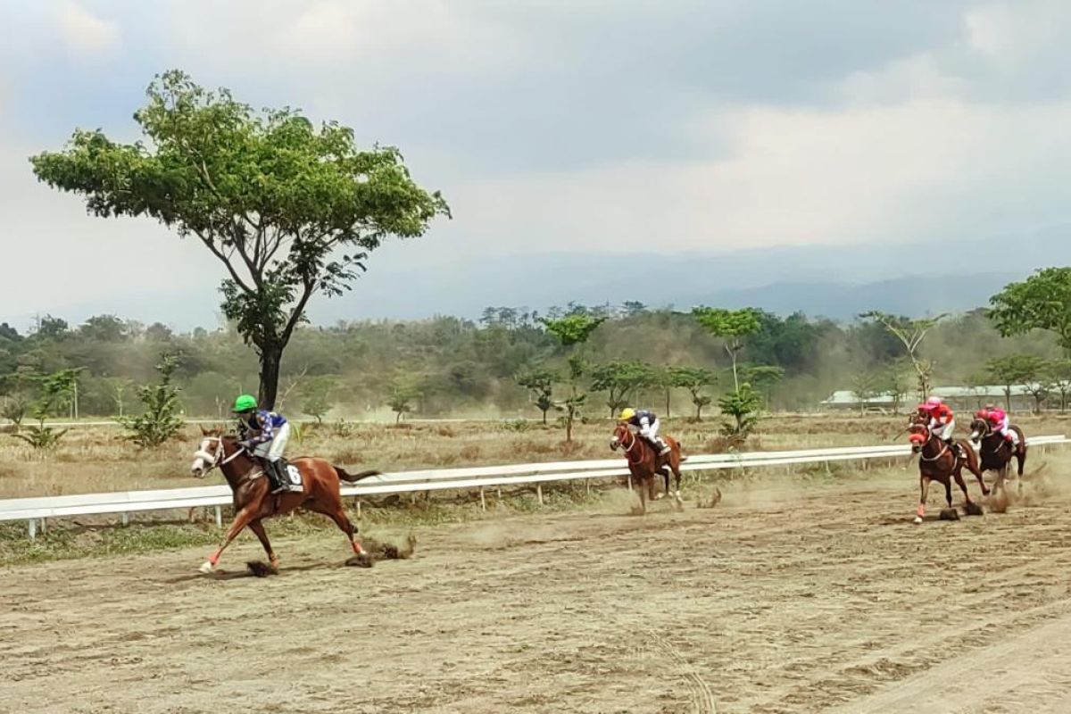 12 provinsi ikuti kejurnas pacu kuda Piala Presiden