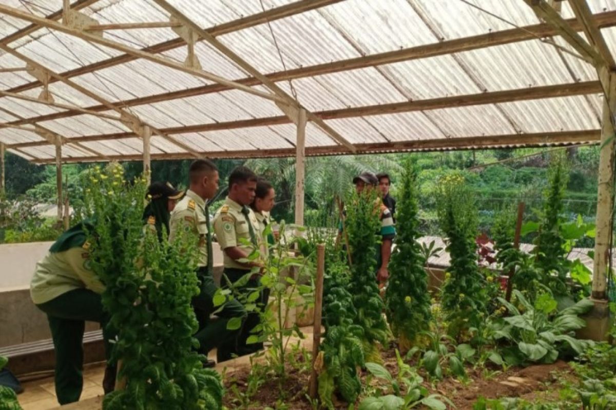 Tingkatkan produktivitas, mahasiswa Polbangtan Kementan manfaakan pupuk organik