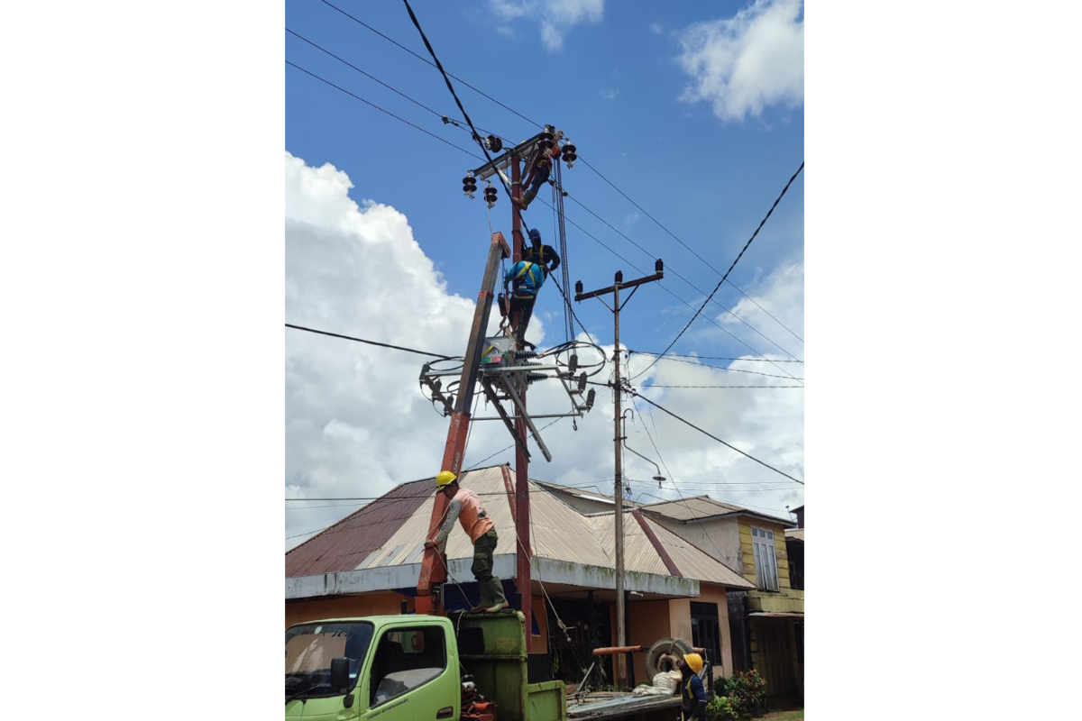 PLN lakunan perbaikan dan pemeliharaan jaringan listrik di Ketapang