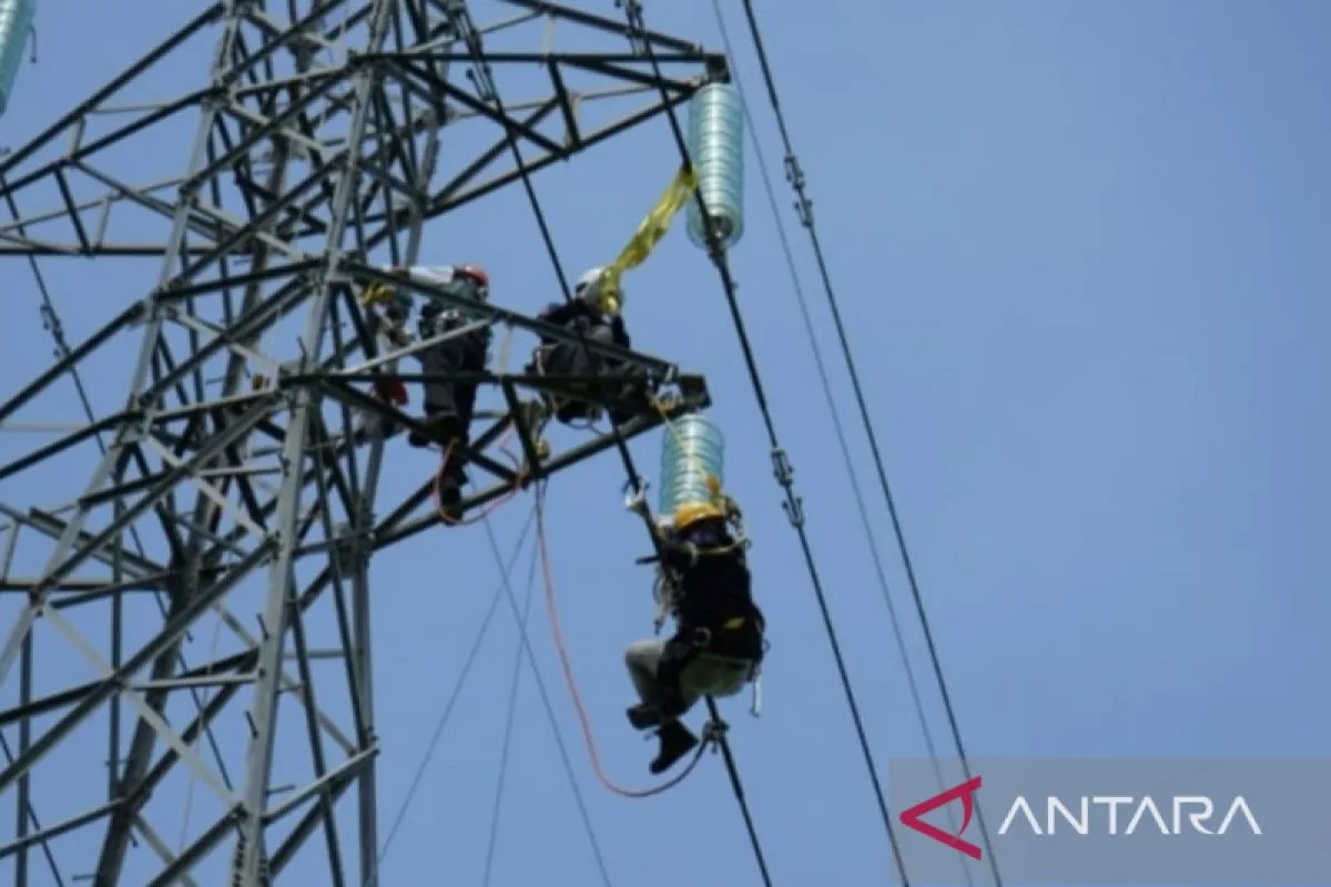 PLN NTT sediakan daya listrik 41 MW dukung investasi di Pulau Timor