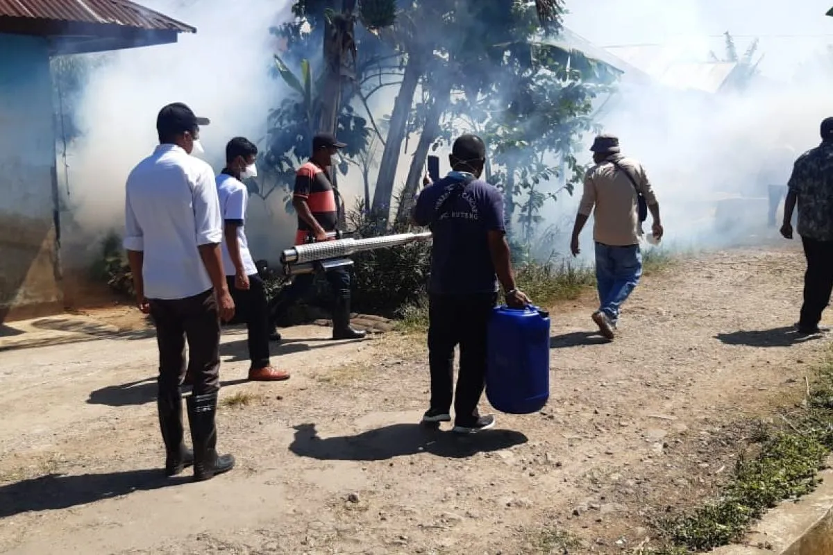 Manggarai tegaskan pentingnya kewaspadaan dini KLB DBD