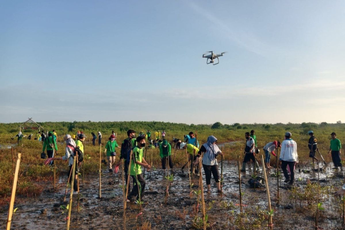Cegah perubahan iklim, Pemkot Probolinggo gerakkan konservasi mangrove