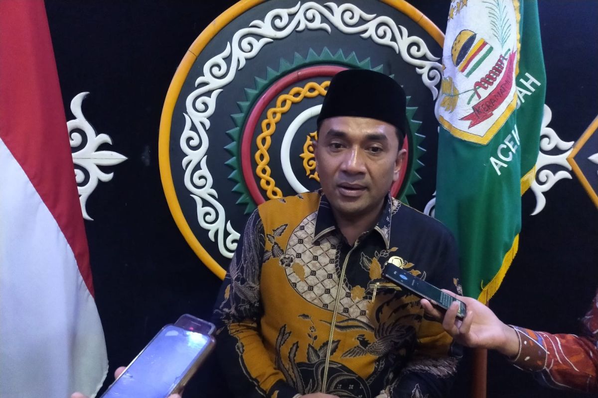Ketua Golkar Aceh Tengah usul pengembangan Bandara Rembele