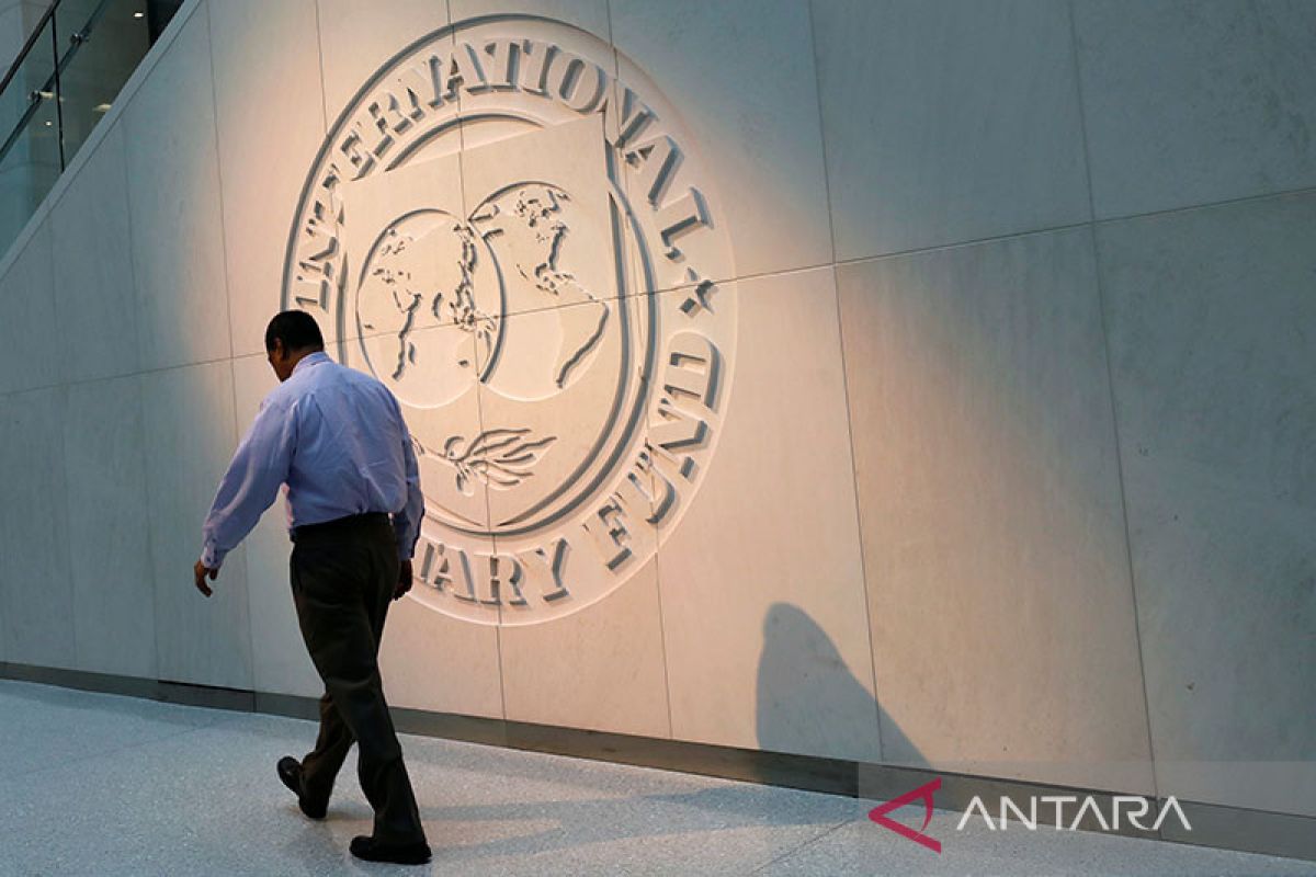 IMF desak bank-bank sentral Asia memperketat kebijakan moneter