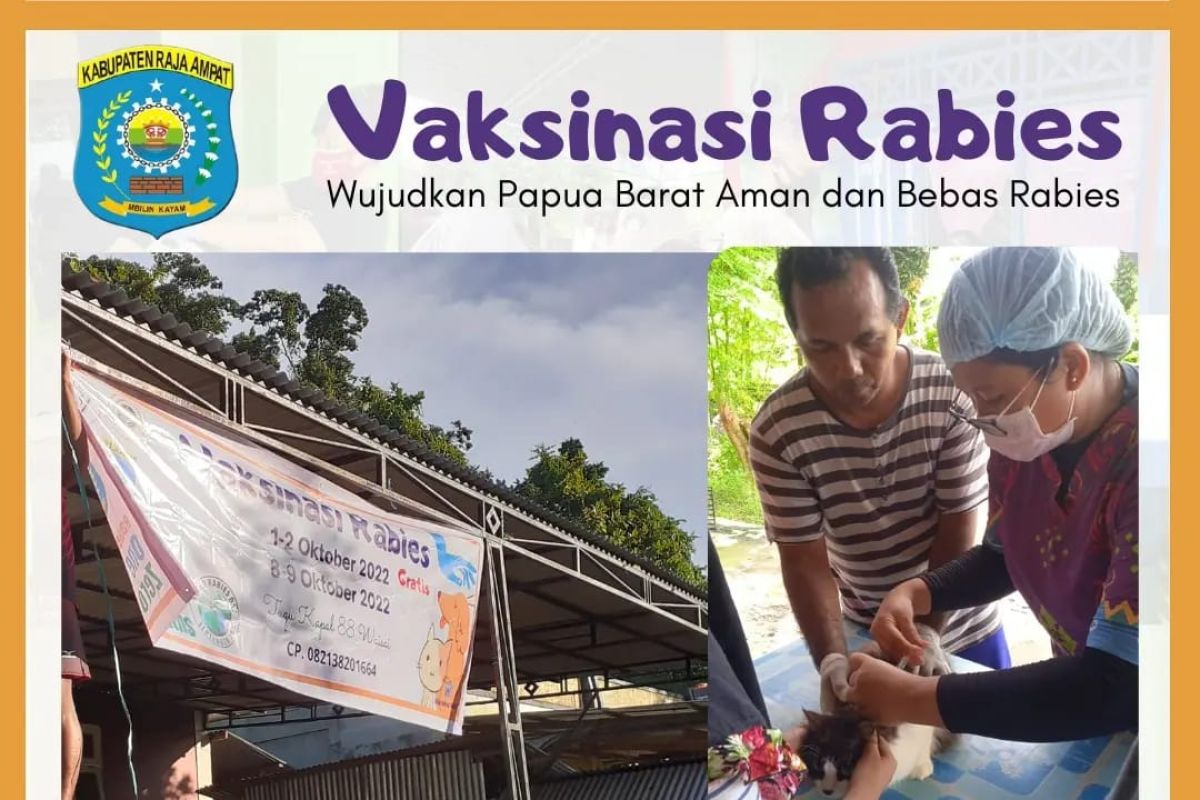 Pemkab Raja Ampat gelar vaksin rabies hewan peliharaan masyarakat