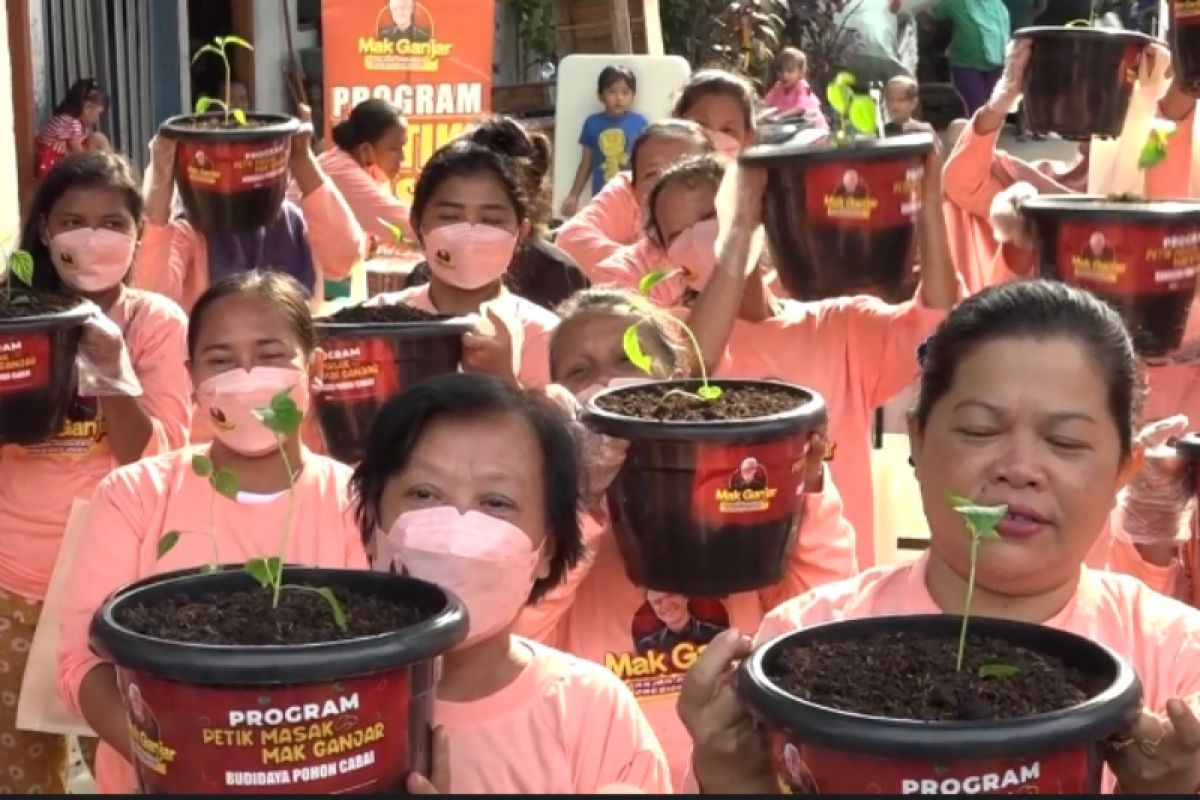 Relawan Mak Ganjar bagikan 400 tanaman cabai kepada warga Pademangan