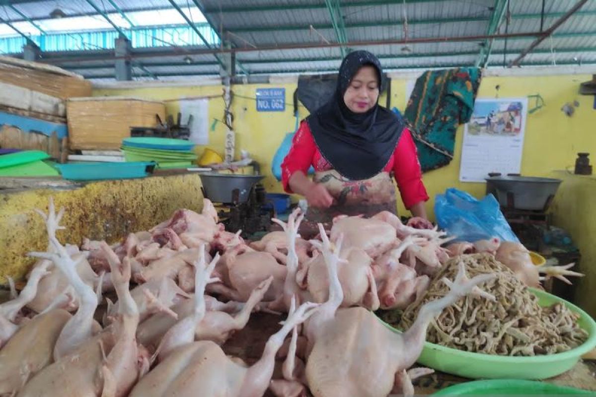 Pedagang akui harga ayam pedaging di Kobar masih relatif tinggi