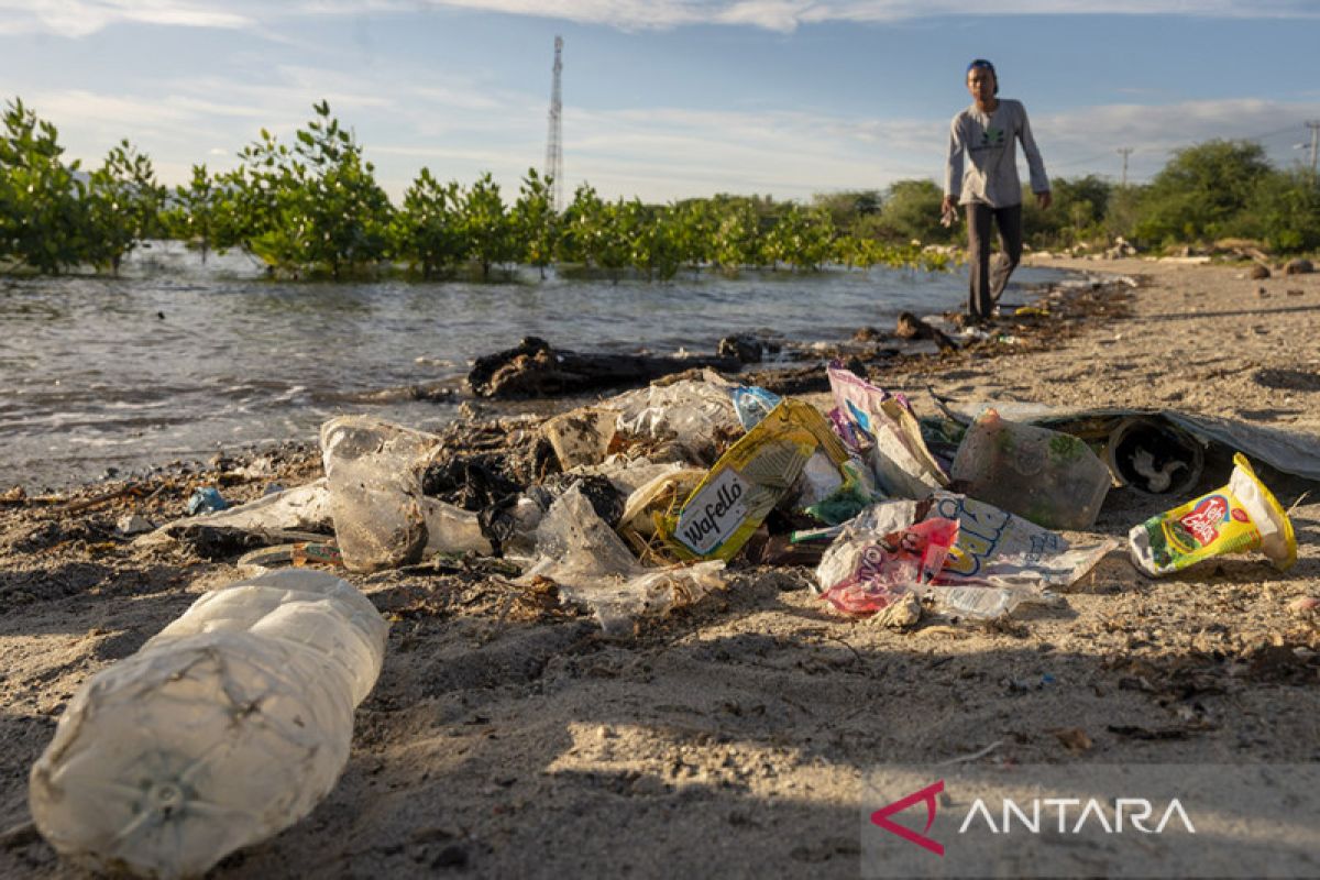 Riset Pencemaran Mikroplastik di Teluk Palu