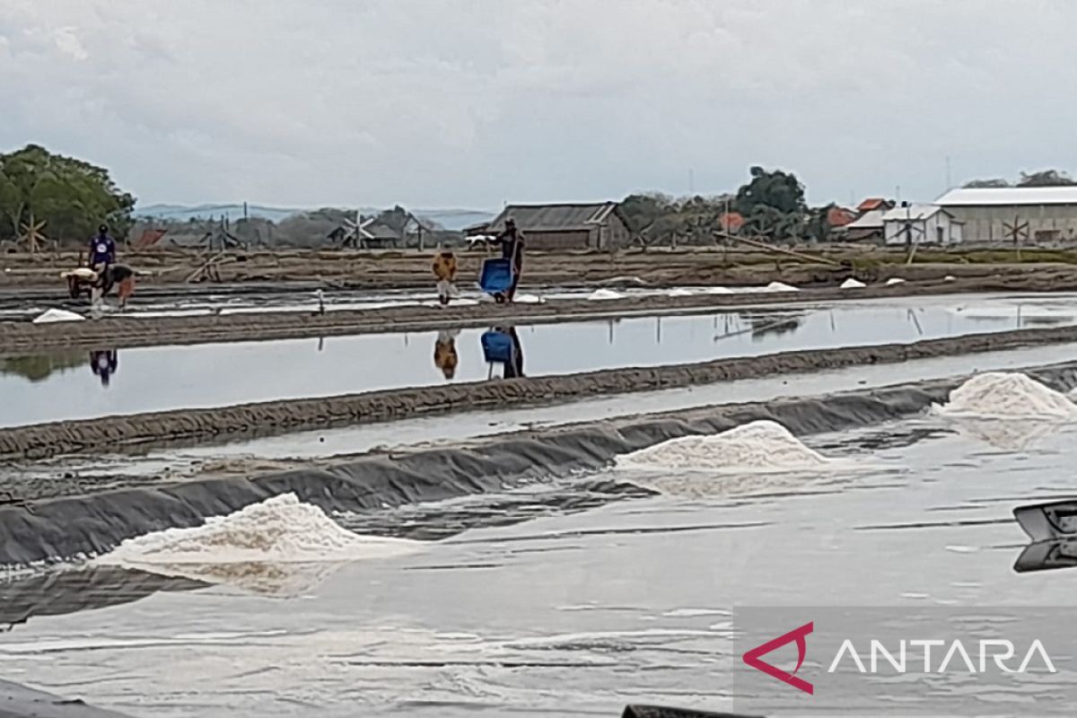 Kualitas garam Pamekasan dinilai membaik berkat teknologi geomembran