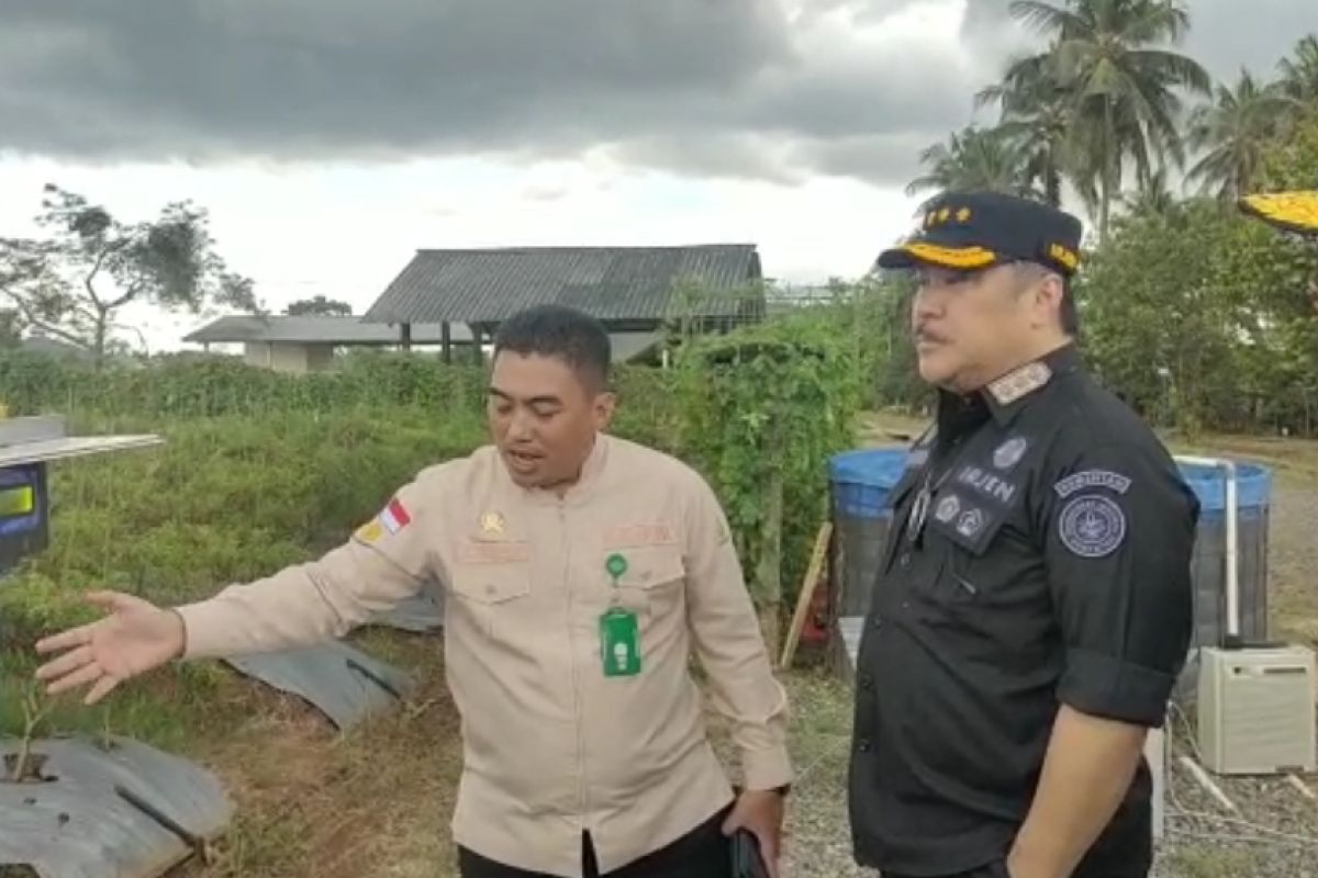 Kementan: Metode "Smart Farming Low Cost" dapat dukung pertanian