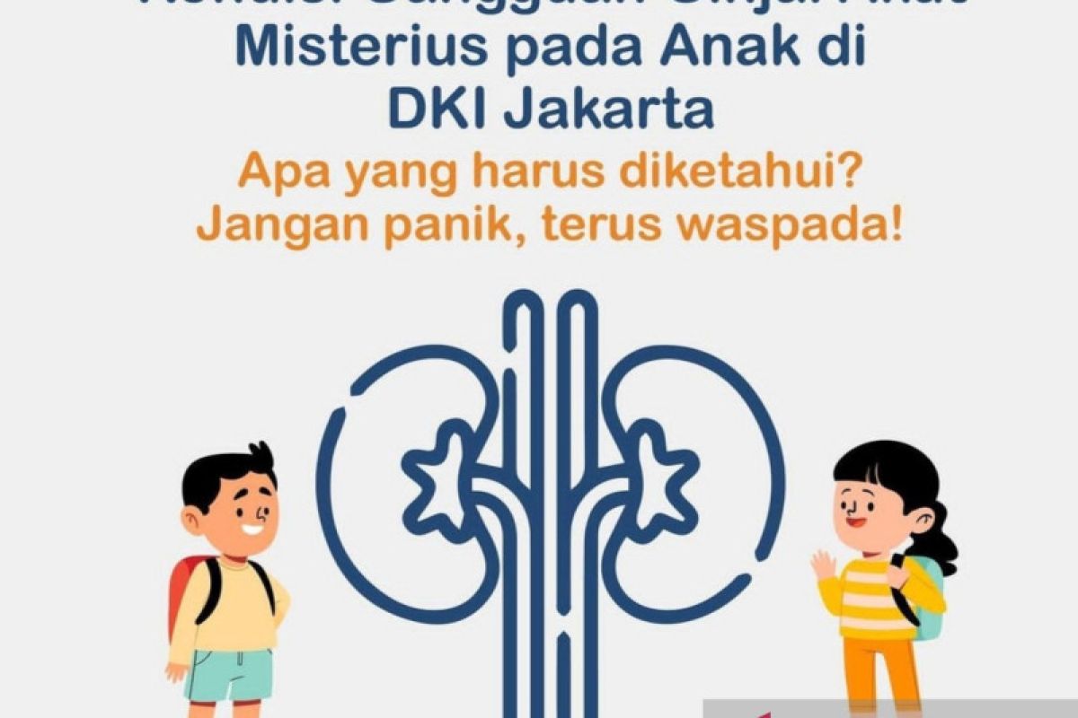 Gagal ginjal akut misterius pada anak terjadi tanpa komorbid