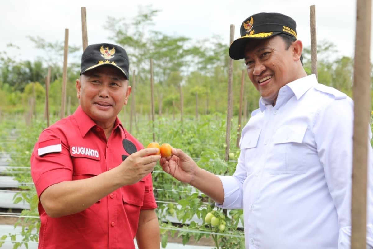 Gubernur ajak generasi muda Kalteng jadi petani melenial