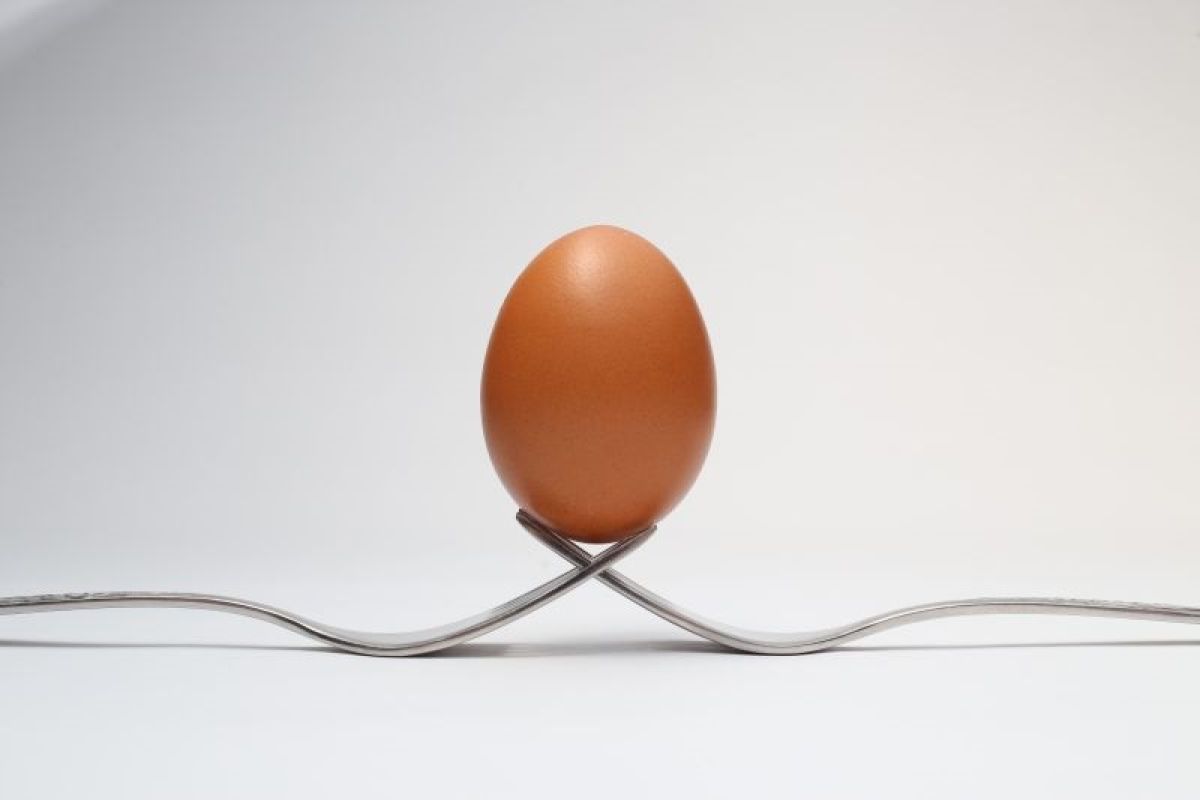Benarkah konsumsi telur baik untuk turunkan risiko penyakit jantung?