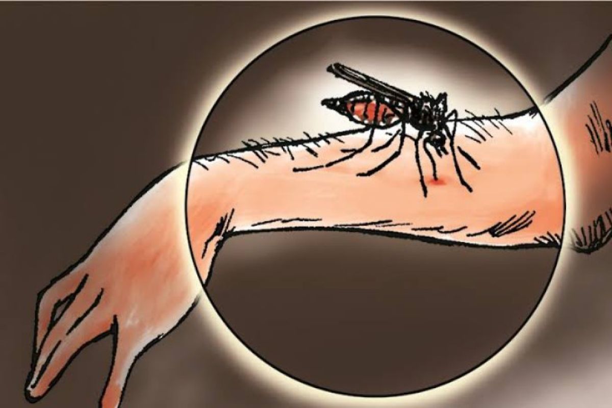 Kasus malaria global meningkat lebih lambat pada 2021