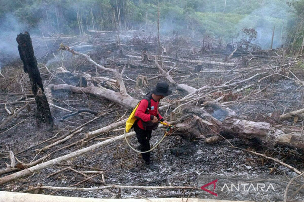 Manggala Agni KLHK tangani karhutla di Kaltim