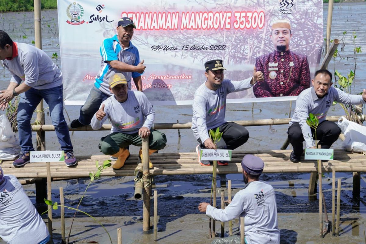 Gubernur Sulsel bersama pelajar tanam 35.300 batang mangrove