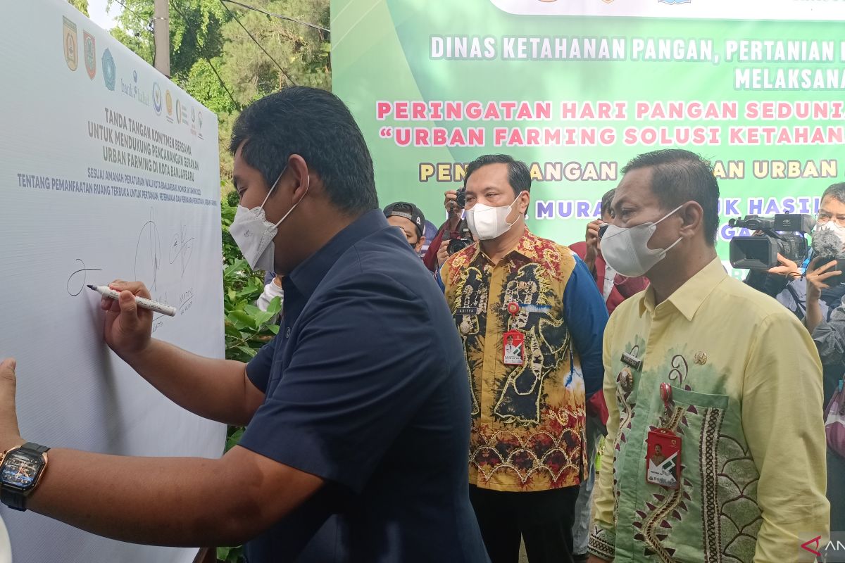 Fadliansyah: Urban Farming langkah awal majukan pertanian