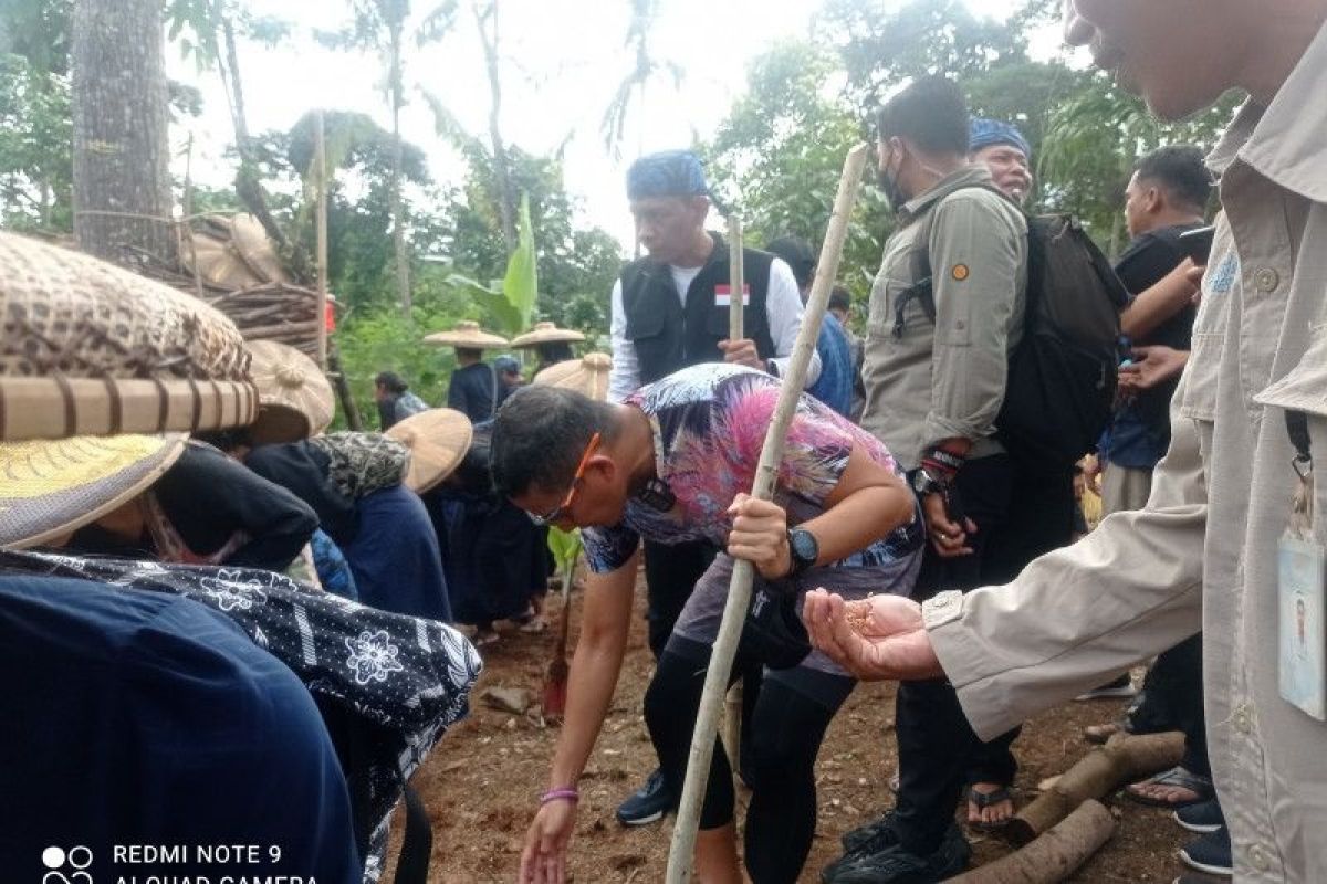 Menkparekraf Sandiaga Uno tanam padi huma bersama petani Badui