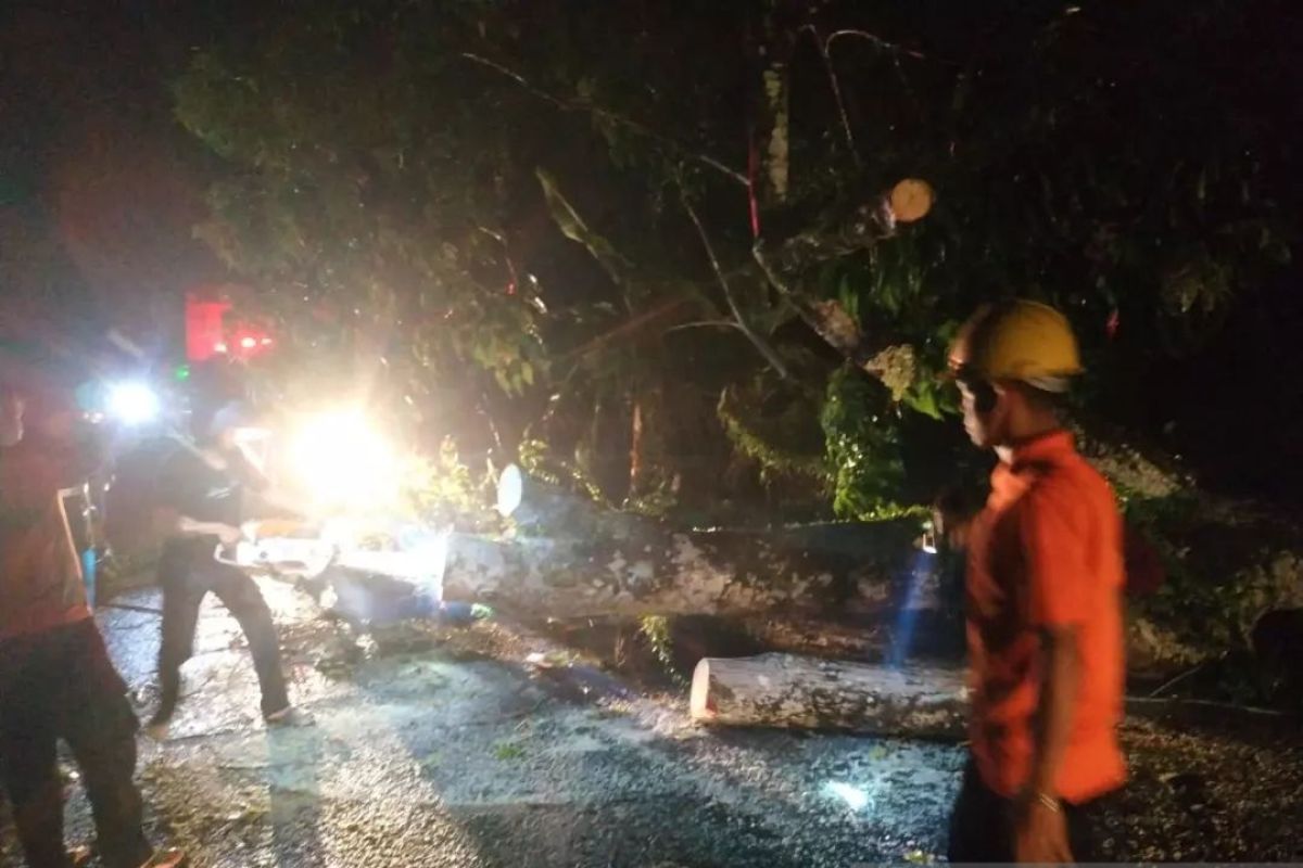 BPBD Padang Pariaman keluarkan imbauan  siaga bencana alam